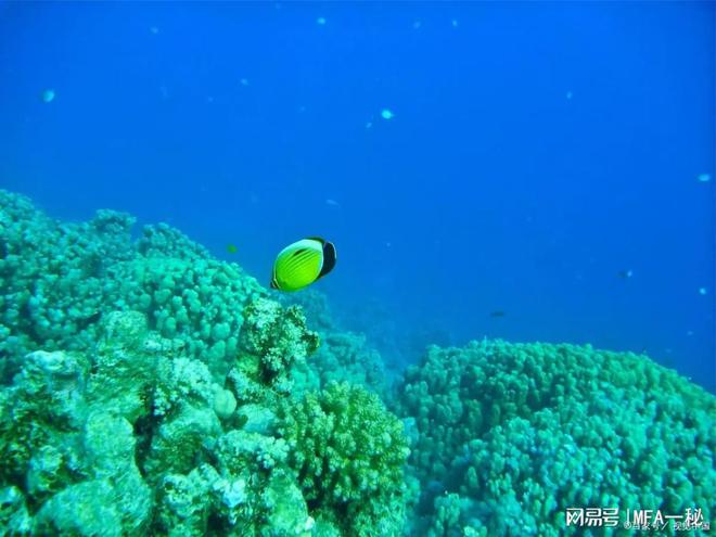 令人叹为观止的奇迹——大堡礁(图2)