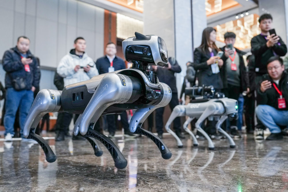 在这里洞察中国AI发展脉动(图21)