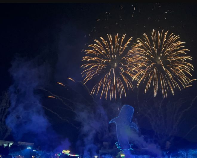 五一亲子珠海长隆海洋王国夜宿升级荧光水母隧道+海底烟花秀(图4)