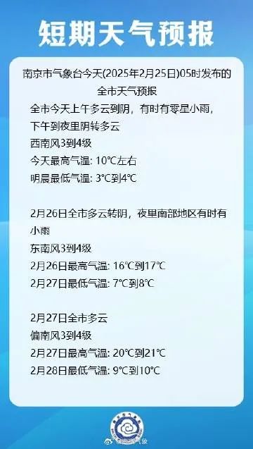 早安南京｜南京鸡鸣寺路“消息树”开花了(图6)