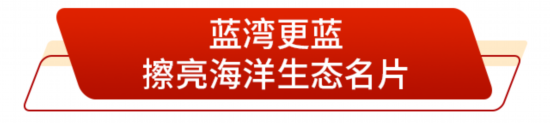 向著蔚藍深處進發山東打造現代海洋經濟發展高地(图6)