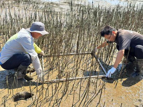 向著蔚藍深處進發山東打造現代海洋經濟發展高地(图10)