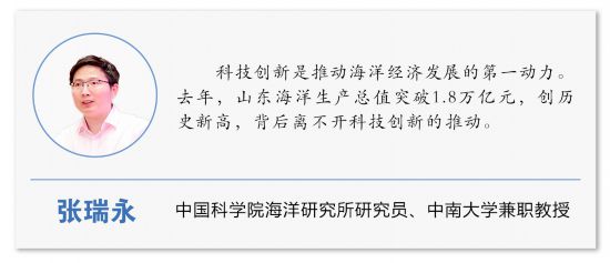向著蔚藍深處進發山東打造現代海洋經濟發展高地(图12)