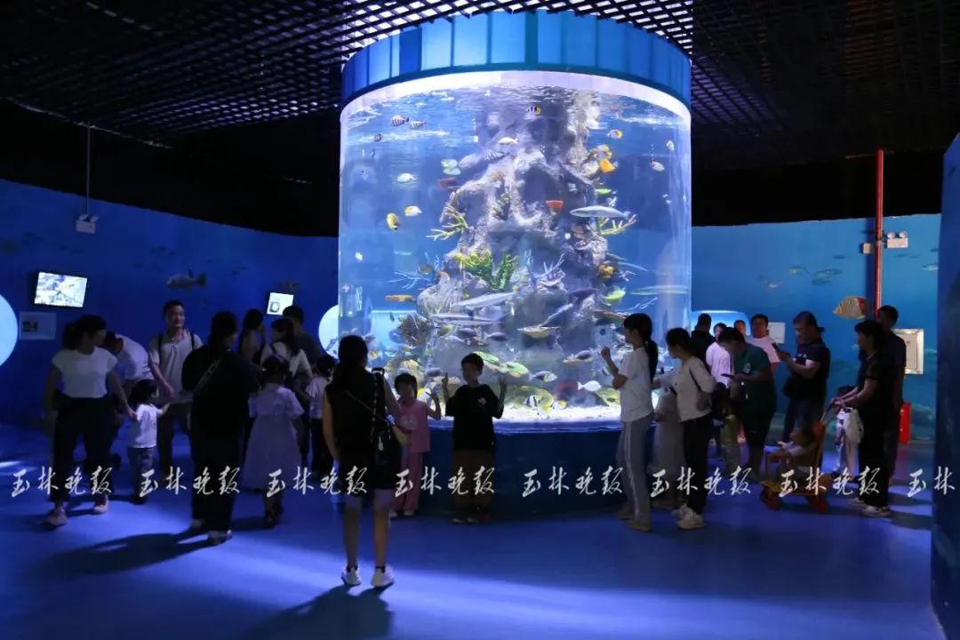 正式开馆！玉林海洋世界来啦地址→(图3)