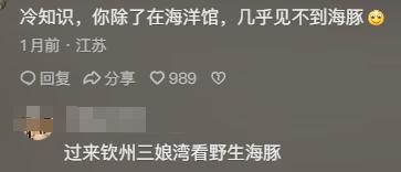 海豚竟是海里最色的哺乳动物!看完分享直接颠覆认知笑到停不下来(图2)