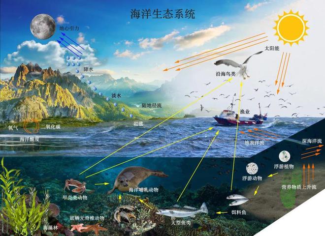 地球动荡不安：20年全球21%海洋区变暗！未来或更严峻咋回事？(图7)