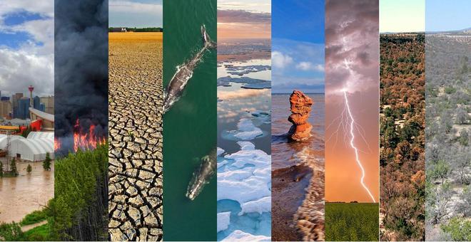 地球动荡不安：20年全球21%海洋区变暗！未来或更严峻咋回事？(图10)