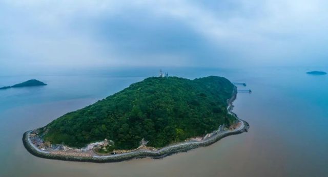 金山将启动海洋生态修复2024年上海海洋经济增长超11%旅游业贡献显著(图3)