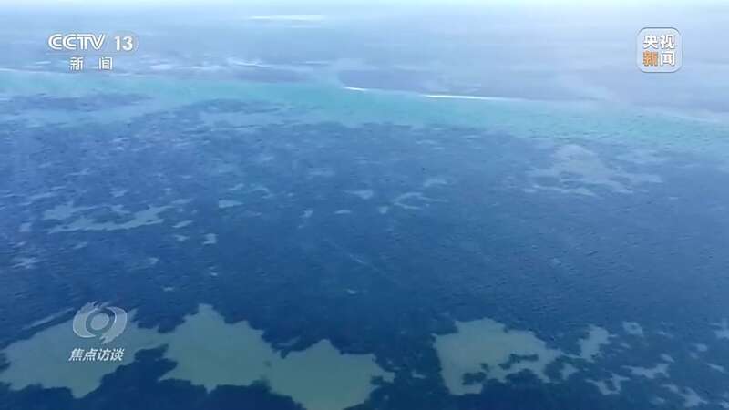 保护海洋生态 守好人海和谐的蓝色家园(图3)