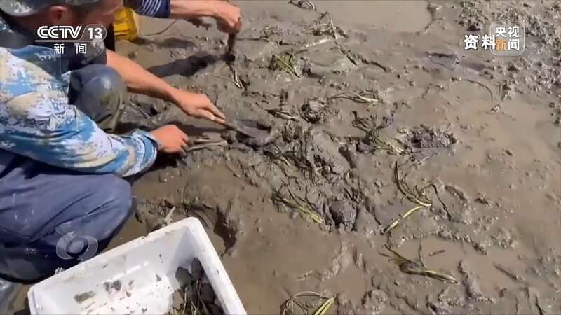 保护海洋生态 守好人海和谐的蓝色家园(图8)