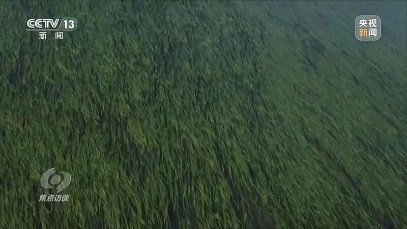 保护海洋生态 守好人海和谐的蓝色家园(图9)