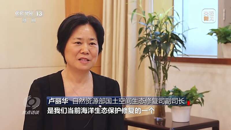 保护海洋生态 守好人海和谐的蓝色家园(图11)