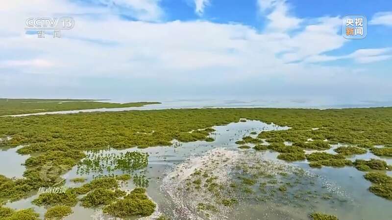 保护海洋生态 守好人海和谐的蓝色家园(图13)