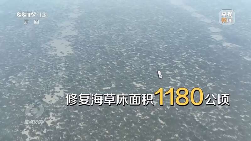 保护海洋生态 守好人海和谐的蓝色家园(图12)