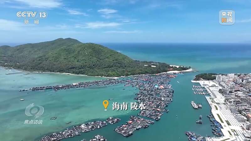 保护海洋生态 守好人海和谐的蓝色家园(图14)