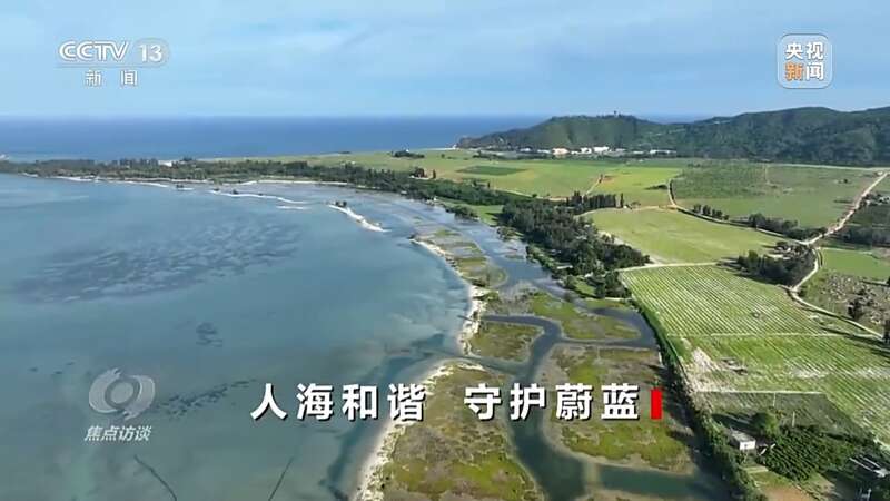 保护海洋生态 守好人海和谐的蓝色家园(图18)