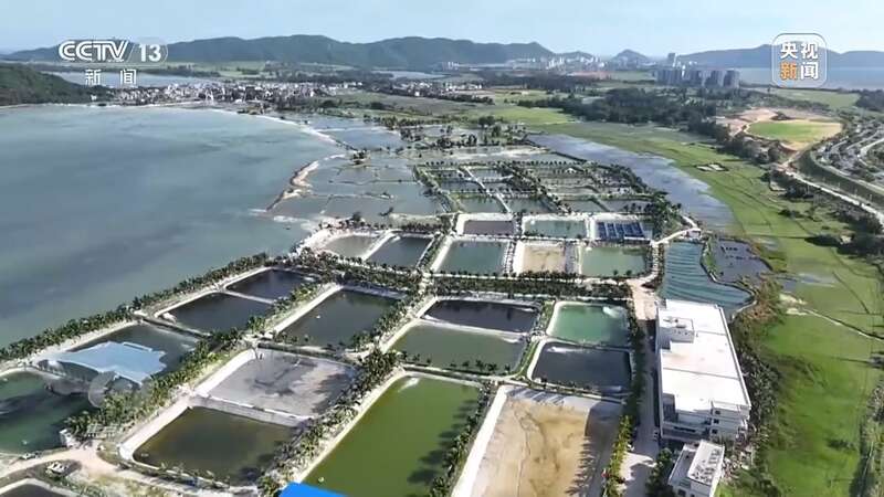 保护海洋生态 守好人海和谐的蓝色家园(图20)