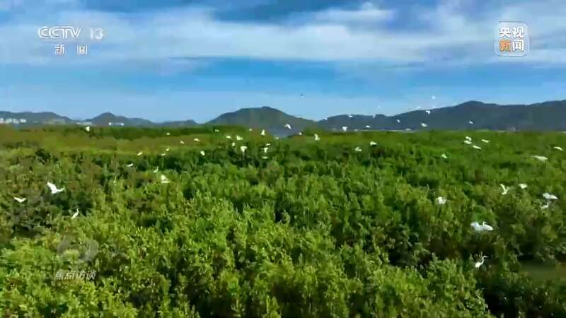 保护海洋生态 守好人海和谐的蓝色家园(图22)