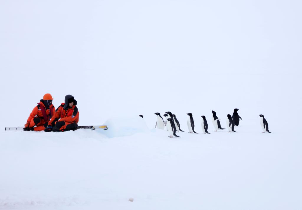 世界海洋日“雪龙2”号带来极地海洋新故事(图3)