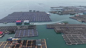 世界海洋日｜向着深蓝色的海洋启航(图12)
