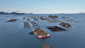 世界海洋日｜向着深蓝色的海洋启航(图11)
