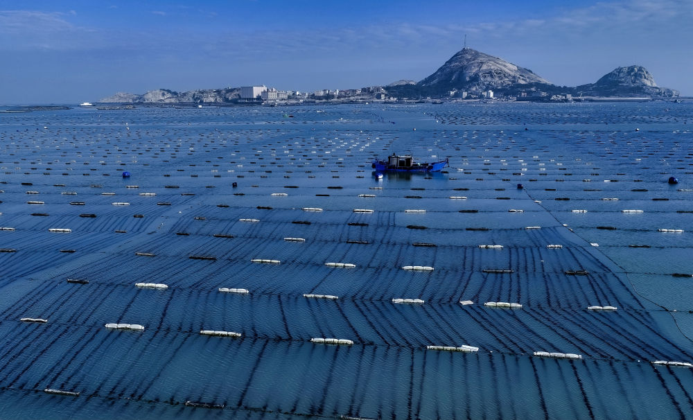 世界海洋日｜向着深蓝色的海洋启航(图14)