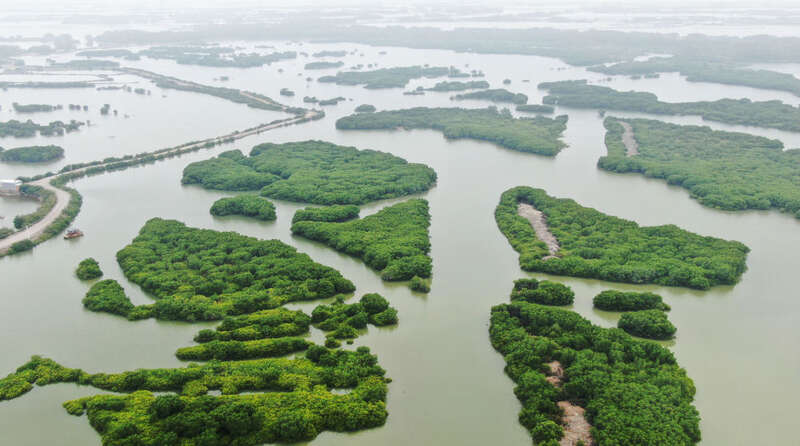 总书记对海洋强国建设的战略指引(图3)