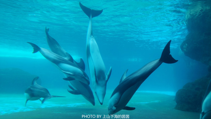 324万公里海岸线：勾勒中国海洋版图的战略与经济价值(图1)