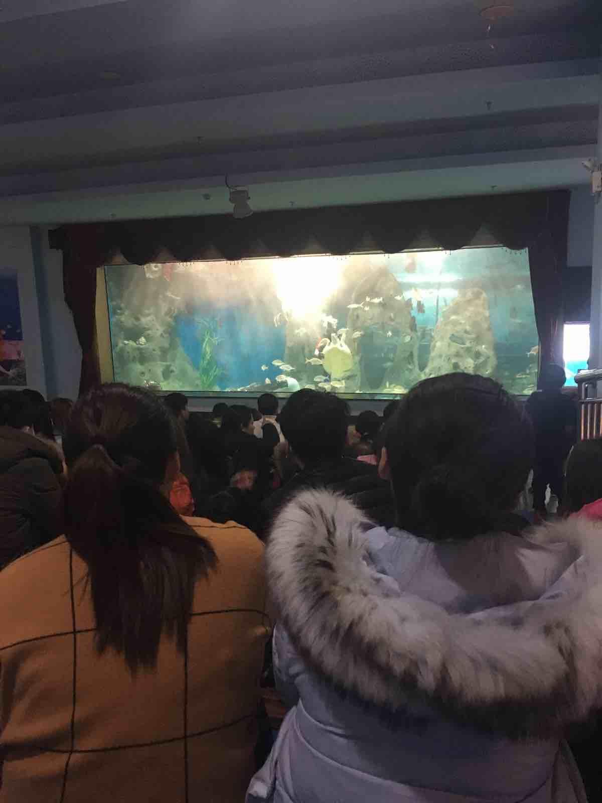 2024温州极地海洋世界表演时间(图1)