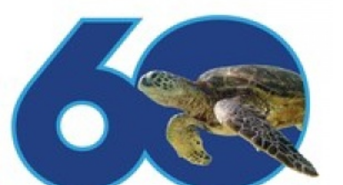 海洋世界公布2024年60 周年庆典计划(图1)
