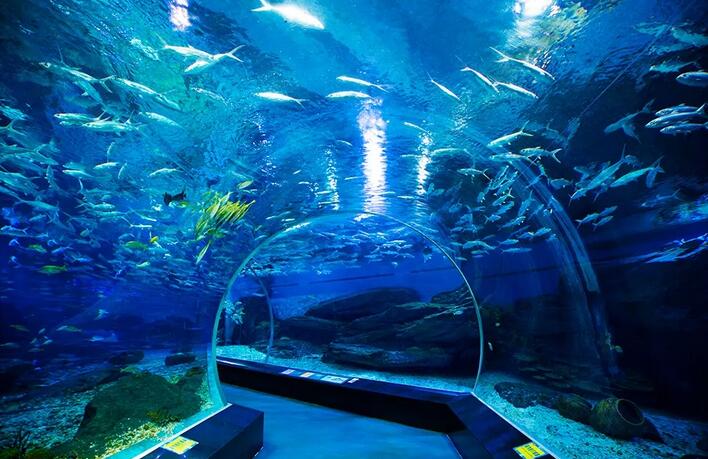 海底世界地址在哪里(图1)