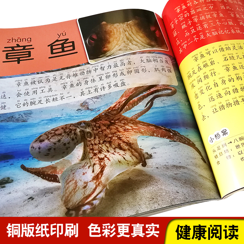 【全网最全】海洋经济、深海科技五大板块概念股小表哥(图1)