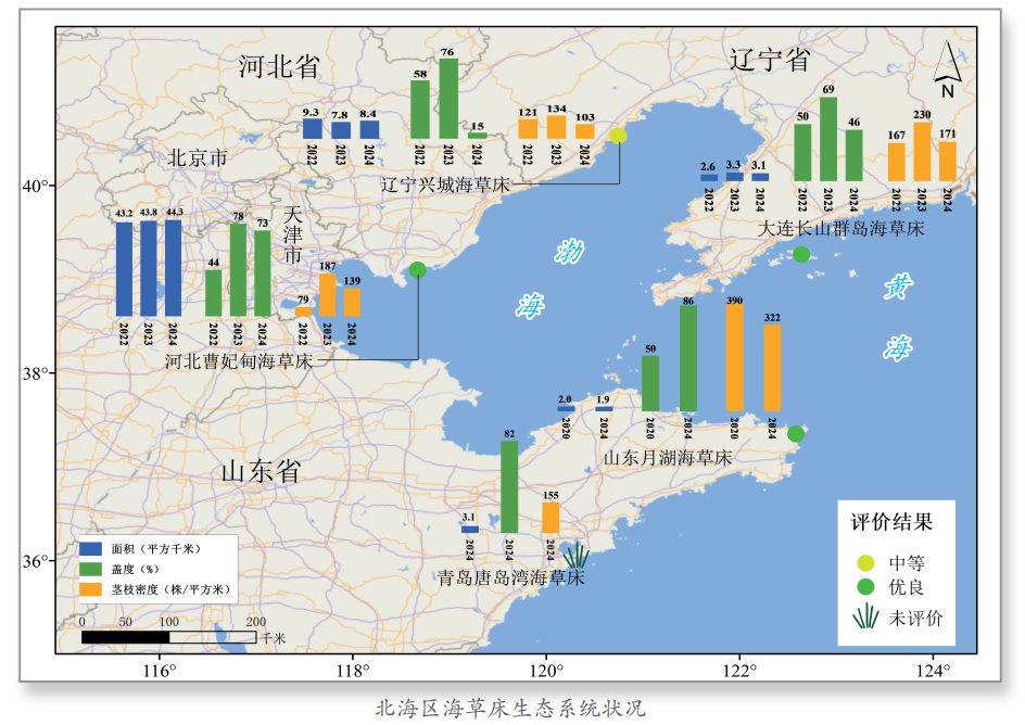 《2024年北海区海洋生态预警监测公报》发布唐岛湾海域发现较大面积海草床(图1)