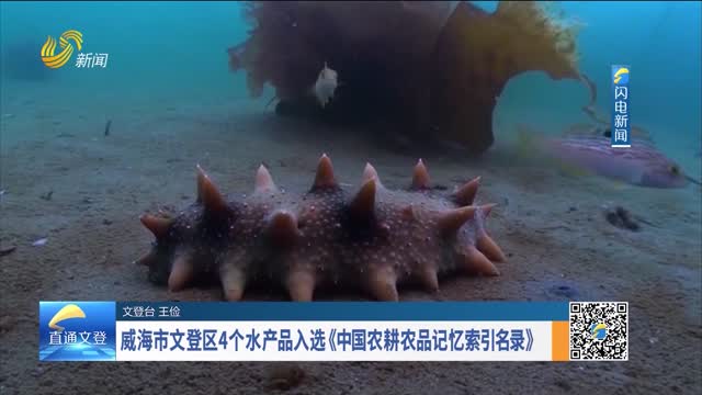 2025山东高校排名更新：青大第5烟大第16山东女院第38(图1)
