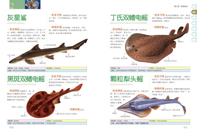海洋生物资源与管理学院(图1)