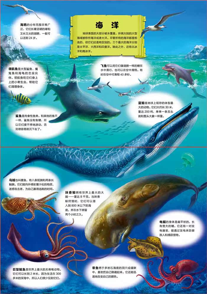 港澳小包团四天三晚要多少钱？港澳4日游最佳旅行攻略(图1)