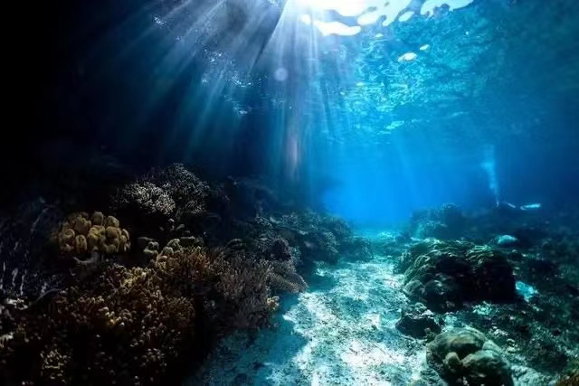 2024年东海区海洋生态预警监测公报(图1)