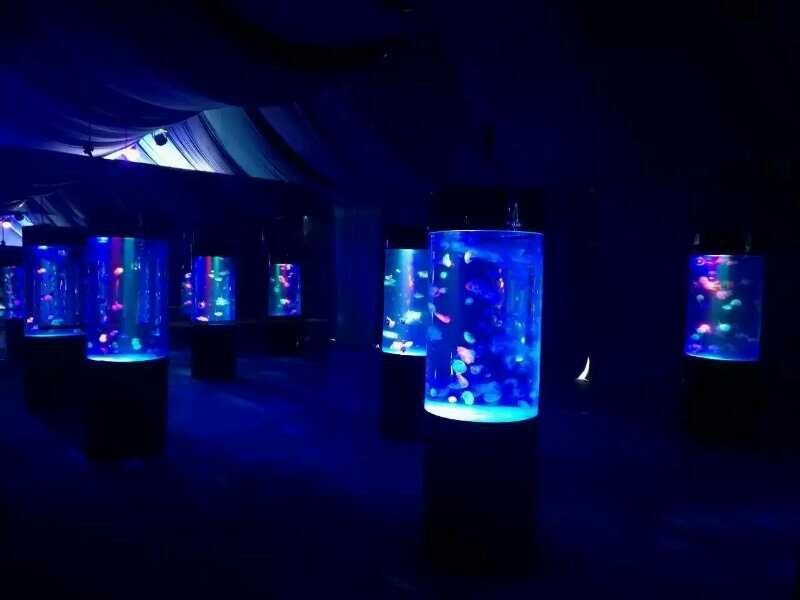 海天联动！2025珠海海洋展低空+海洋经济融合发展研讨会日程公布(图1)