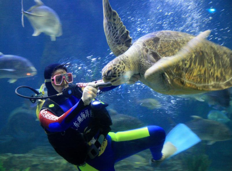 2025年中国海洋生物医药行业最具发展潜力企业排名（附榜单）(图1)