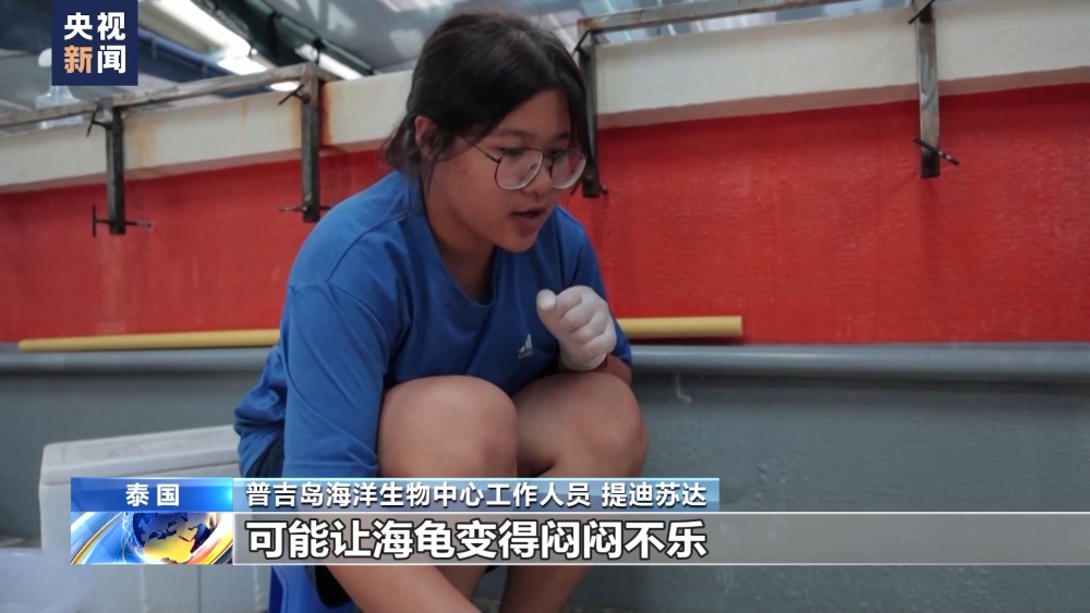 保护海洋生物 泰国放归人工饲养棱皮龟(图3)