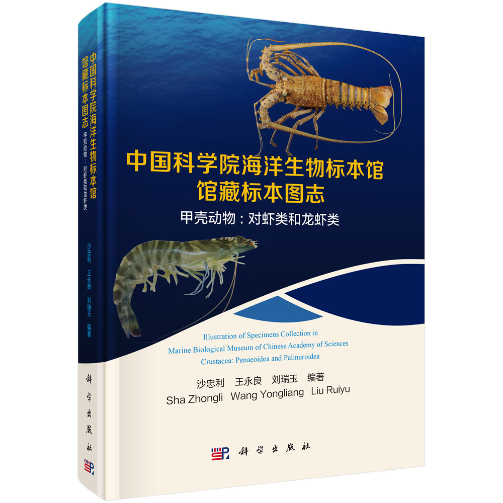 青春挺膺担当 共筑国家安全(图1)