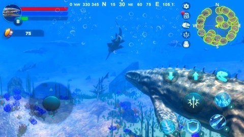 二中学子 【蓝色药库赋能健康中国 百年薪火淬炼创新担当】2024级13班开展海洋生物医药科普活动(图1)