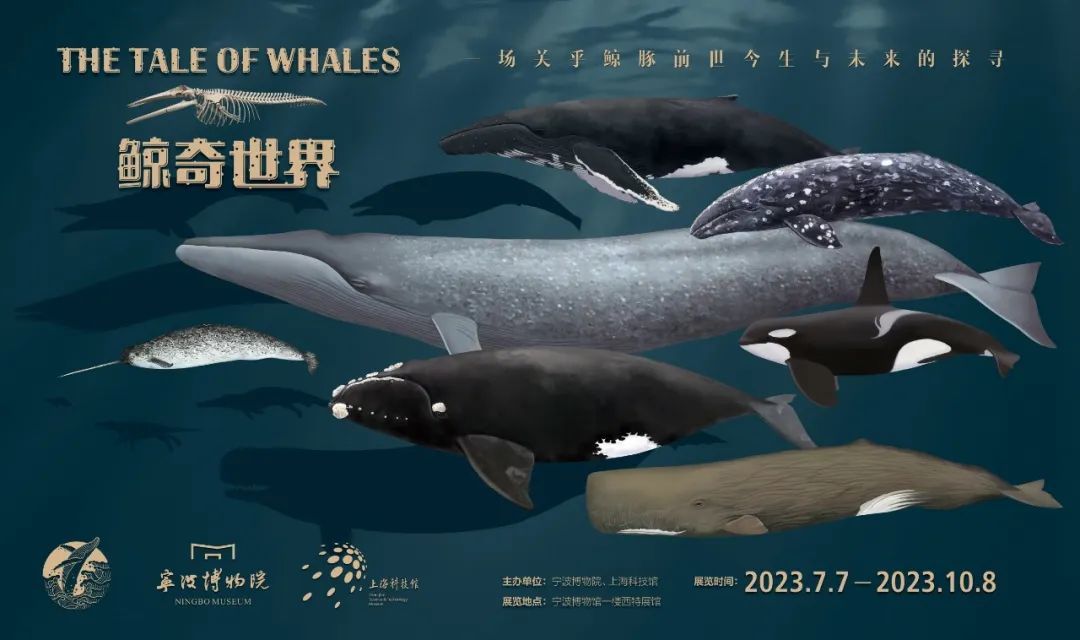 青岛今年力争海洋生产总值增长65%左右(图1)