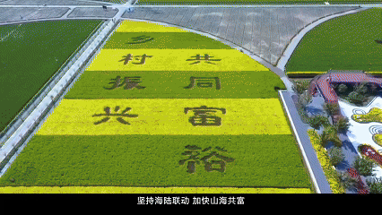 陆海协作——浙江强化用海要素保障支撑海洋强省建设综述(图1)