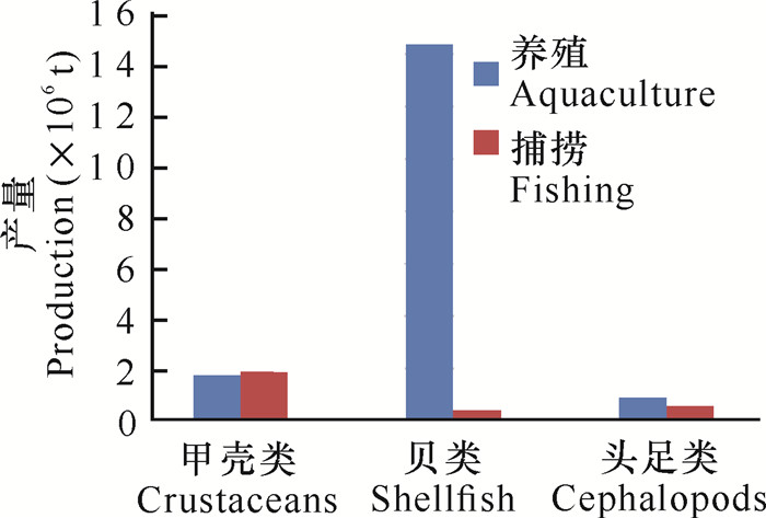 【瞧！我们的前沿科技】“时间显微镜”揭示距今3亿年前后海洋生物的生命波动(图1)