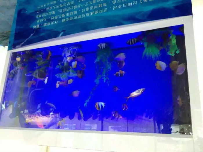 2024-2028年中國濱海旅游業分析及發展趨勢預測研究報告(图1)