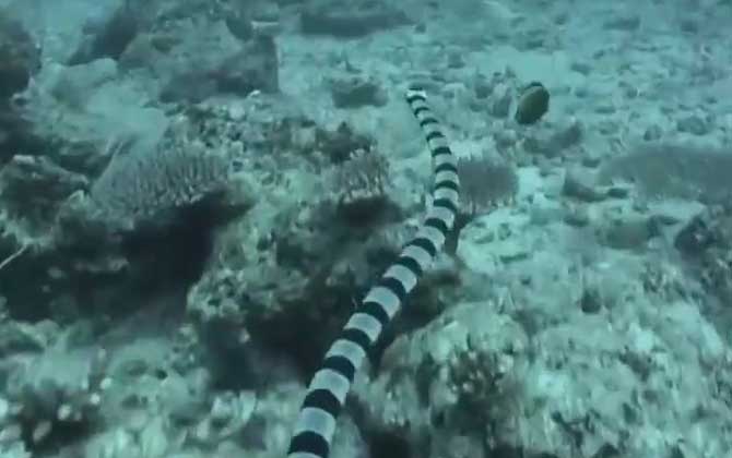 向海图强 另一个山东正在崛起(图1)