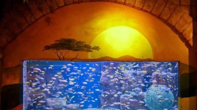 正佳极地海洋世界推出《海底梦幻天鹅湖》美人鱼大秀｜粤见“五一”(图1)
