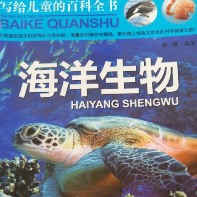 2025大连五一有哪些好玩的地方推荐？(图1)