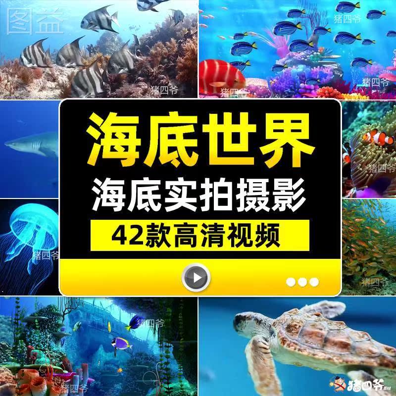 爱飞嘉iFlyPlus探秘一个正在崛起的奢华生活方式：海洋生活新纪元(图1)